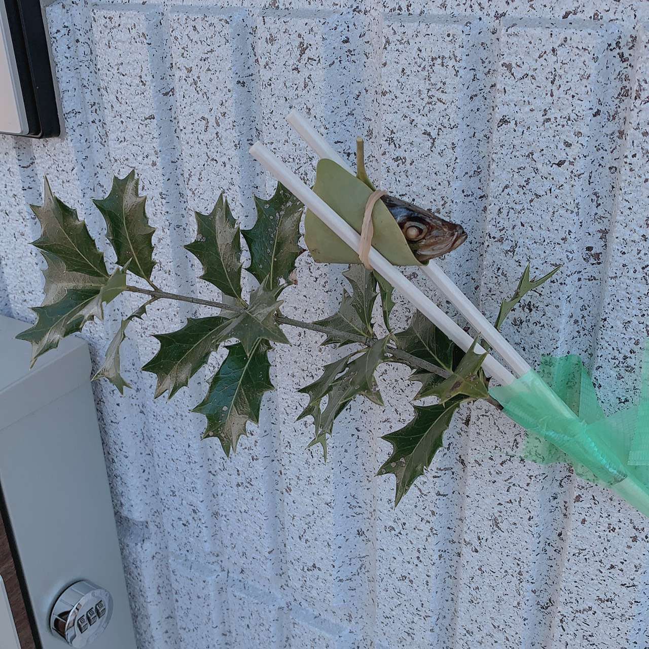 今こそコルギ!!